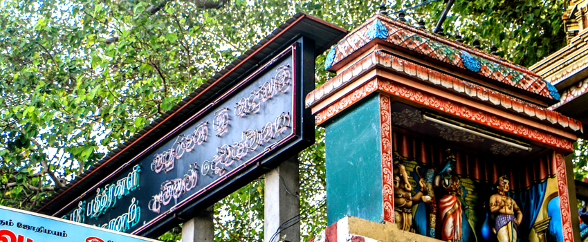 Tamil Community in Colombo